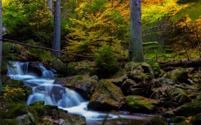 HAIKU U 5. A – UŽI IZBOR